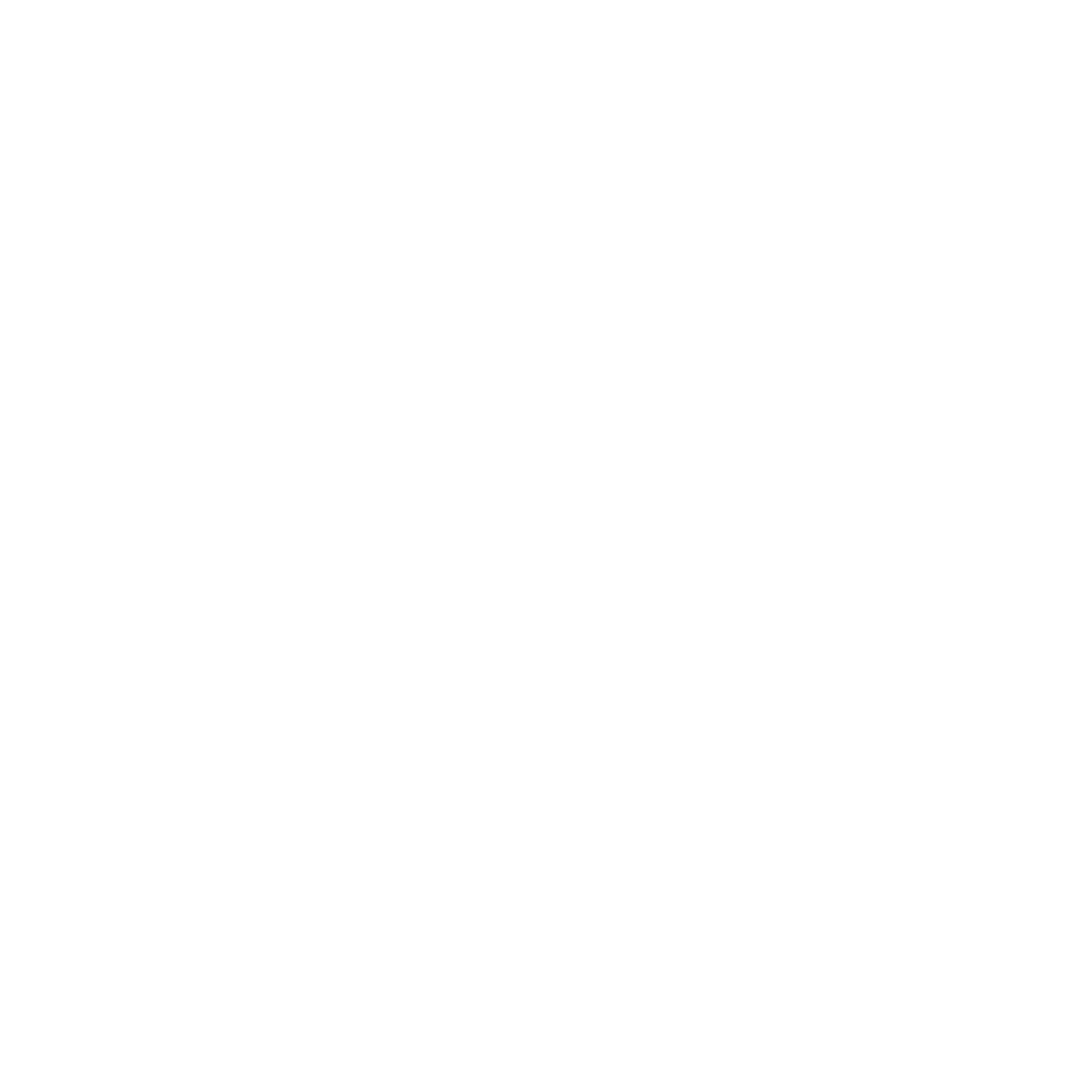 twitter_icon