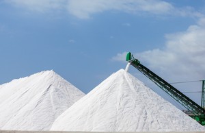 Indonesia aims halt salt imports 