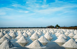 Up to 6Mt of Mexican salt in stockpiles