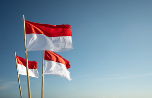 Indonesia implements SIMBARA tracking for nickel and tin